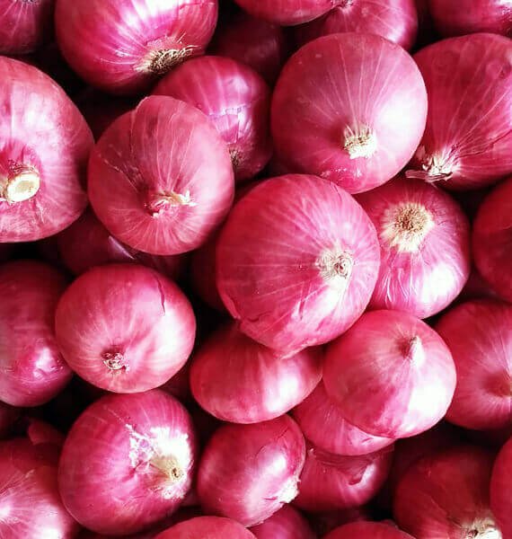 Onion Products